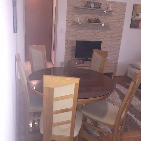 Petra Culina Zara